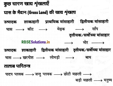 RBSE Class 12 Biology Important Questions Chapter 14 पारितंत्र 12