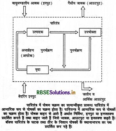 RBSE Class 12 Biology Important Questions Chapter 14 पारितंत्र 20