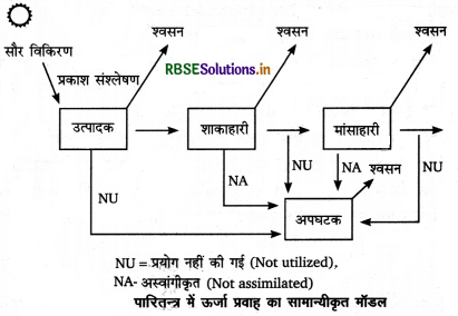 RBSE Class 12 Biology Important Questions Chapter 14 पारितंत्र 6