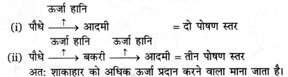 RBSE Class 12 Biology Important Questions Chapter 14 पारितंत्र 9
