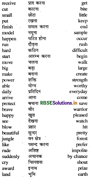 RBSE Class 4 English Vocabulary 9