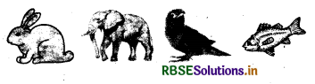 RBSE Solutions for Class 5 EVS Chapter 8 The Unique World of Insects and Animals 1