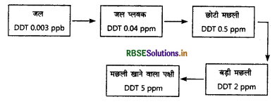 RBSE Class 12 Biology Important Questions Chapter 16 पर्यावरण के मुद्दे 1