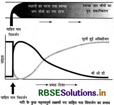 RBSE Class 12 Biology Important Questions Chapter 16 पर्यावरण के मुद्दे 3