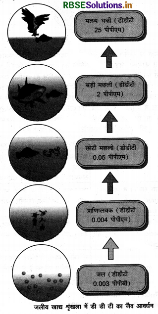 RBSE Class 12 Biology Important Questions Chapter 16 पर्यावरण के मुद्दे 7