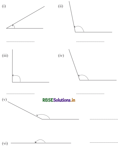 RBSE 5th Class Maths Solutions Chapter 16 ज्यामिती 5