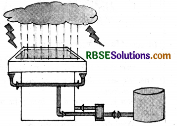 RBSE Solutions for Class 3 English Chapter 3 The Clever Minister 10