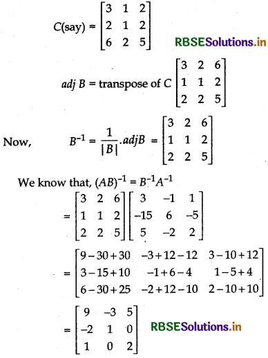 RBSE Class 12 Maths Important Questions Chapter 4 Determinants 29
