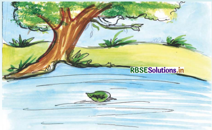 RBSE Solutions for Class 3 English Chapter 8 Life Echoes 3