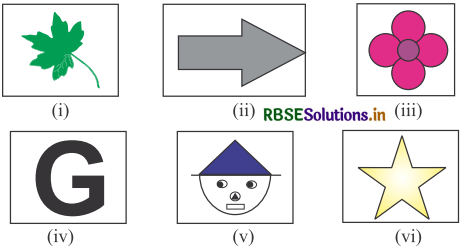 RBSE 4th Class Maths Solutions Chapter 7 सममिति 14