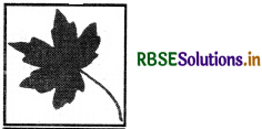 RBSE 4th Class Maths Solutions Chapter 7 सममिति 15