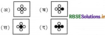 RBSE 4th Class Maths Solutions Chapter 11 पैटर्न 24