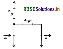 RBSE Class 12 Maths Important Questions Chapter 10 Vector Algebra 2