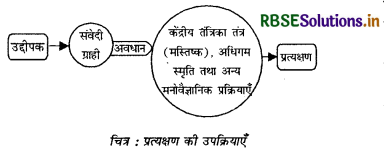 RBSE Solutions for Class 11 Psychology Chapter 6 अधिगम 1