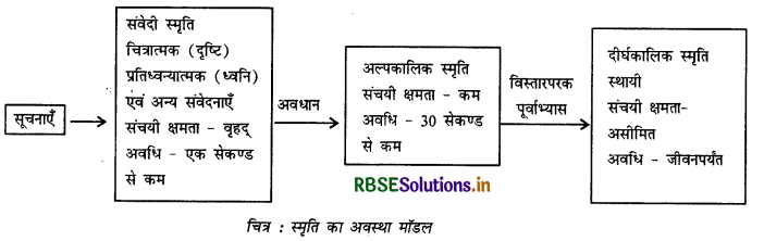 RBSE Solutions for Class 11 Psychology Chapter 7 मानव स्मृति 2