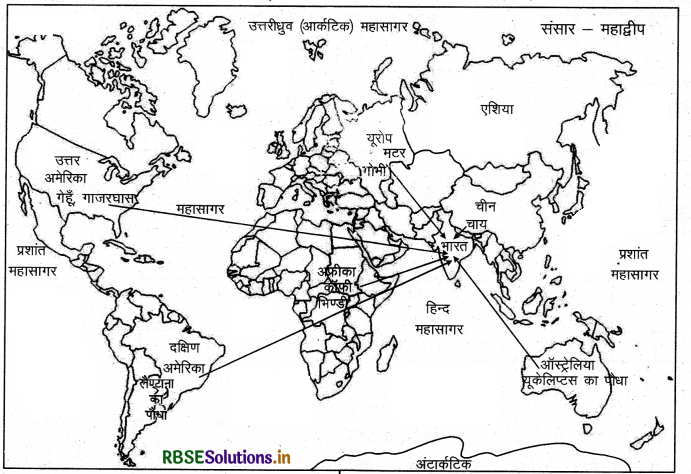 RBSE Solutions for Class 5 EVS Chapter 6 बीज बना पौधा 1