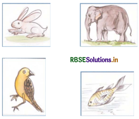 RBSE Solutions for Class 5 EVS Chapter 8 जीव-जन्तुओं की निराली दुनिया 1