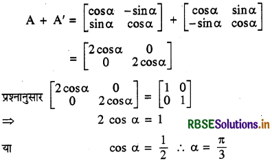 RBSE Solutions for Class 12 Maths Chapter 3 आव्यूह Ex 3.3 22