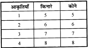 RBSE 3rd Class Maths Solutions Chapter 8 अलग-अलग आकृतियाँ 13