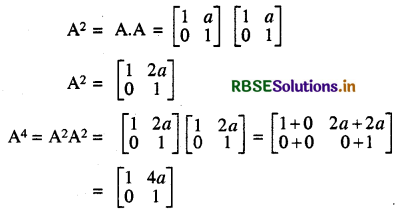 RBSE Class 12 Maths Important Questions Chapter 3 आव्यूह 3