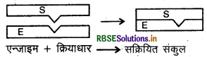 RBSE Solutions for Class 12 Chemistry Chapter 5 पृष्ठ रसायन 22