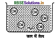 RBSE Solutions for Class 12 Chemistry Chapter 5 पृष्ठ रसायन 24