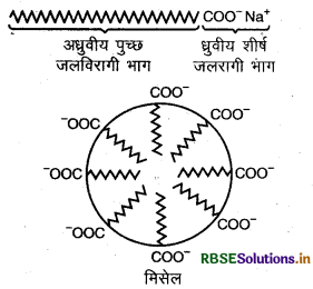 RBSE Solutions for Class 12 Chemistry Chapter 5 पृष्ठ रसायन 26