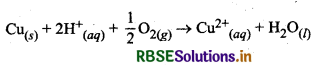 RBSE Solutions for Class 12 Chemistry Chapter  6 तत्वों के निष्कर्षण के सिद्धांत एवं प्रक्रम 10