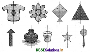 RBSE 3rd Class Maths Solutions Chapter 16 सममिति 33