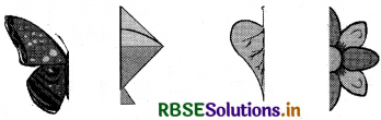 RBSE 3rd Class Maths Solutions Chapter 16 सममिति 36