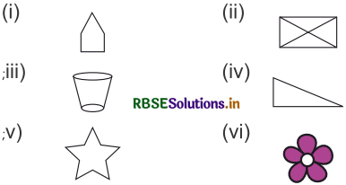 RBSE 3rd Class Maths Solutions Chapter 16 सममिति 4