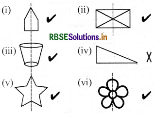 RBSE 3rd Class Maths Solutions Chapter 16 सममिति 5