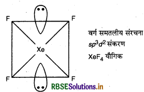 RBSE Solutions for Class 12 Chemistry Chapter 7 p-ब्लॉक के तत्व 44