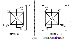 RBSE Solutions for Class 12 Chemistry Chapter 9 उपसहसंयोजन यौगिक 22