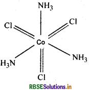 RBSE Solutions for Class 12 Chemistry Chapter 9 उपसहसंयोजन यौगिक 3-imm