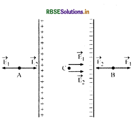 RBSE Solutions for Class 12 Physics Chapter 1 वैद्युत आवेश तथा क्षेत्र 24