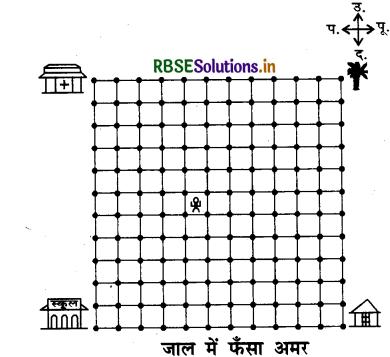 RBSE Solutions for Class 4 EVS Chapter 20 उगता सूरज पूर्व में 1