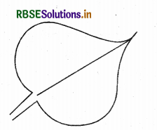 RBSE Solutions for Class 3 EVS Chapter 5 हरी-हरी पत्तियाँ 2