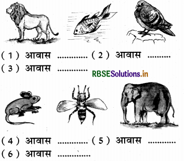 RBSE Solutions for Class 3 EVS Chapter 6 देखो, जंगल अजब निराला 1