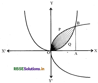 RBSE Class 12 Maths Important Questions Chapter 8 समाकलनों के अनुप्रयोग 19
