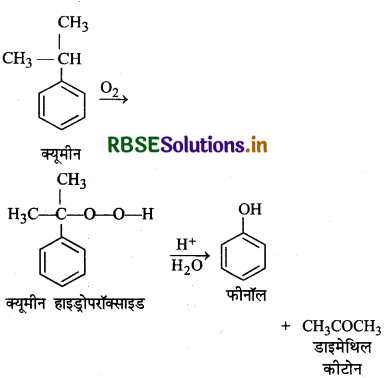 RBSE Solutions for Class 12 Chemistry Chapter 11 ऐल्कोहॉल, फीनॉल एवं ईथर 48