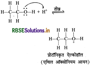 RBSE Solutions for Class 12 Chemistry Chapter 11 ऐल्कोहॉल, फीनॉल एवं ईथर 79
