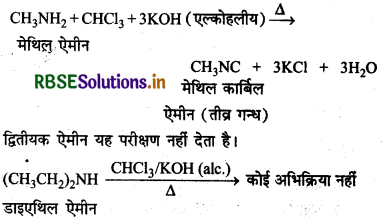 RBSE Solutions for Class 12 Chemistry Chapter  13 ऐमीन 13