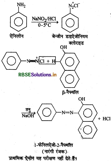 RBSE Solutions for Class 12 Chemistry Chapter  13 ऐमीन 16