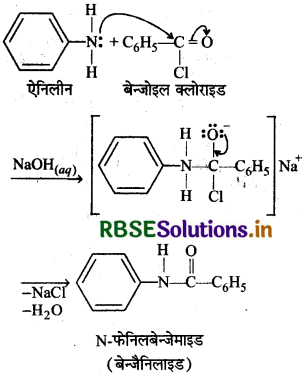 RBSE Solutions for Class 12 Chemistry Chapter  13 ऐमीन 8