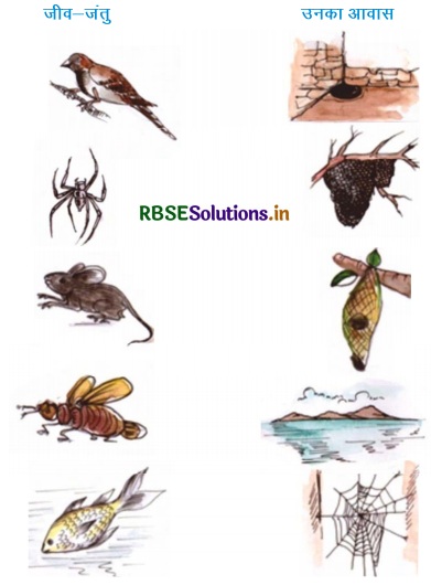 RBSE Solutions for Class 3 EVS Chapter 15 मेरा घर और उनका घर 1