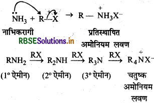 RBSE Solutions for Class 12 Chemistry Chapter  13 ऐमीन 39