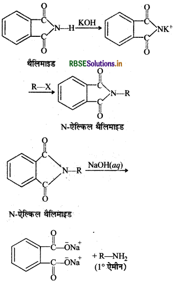 RBSE Solutions for Class 12 Chemistry Chapter  13 ऐमीन 42