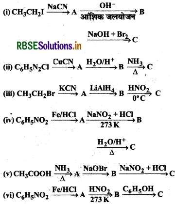 RBSE Solutions for Class 12 Chemistry Chapter  13 ऐमीन 52