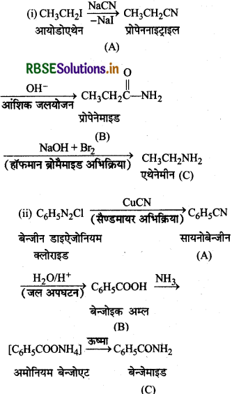 RBSE Solutions for Class 12 Chemistry Chapter  13 ऐमीन 53
